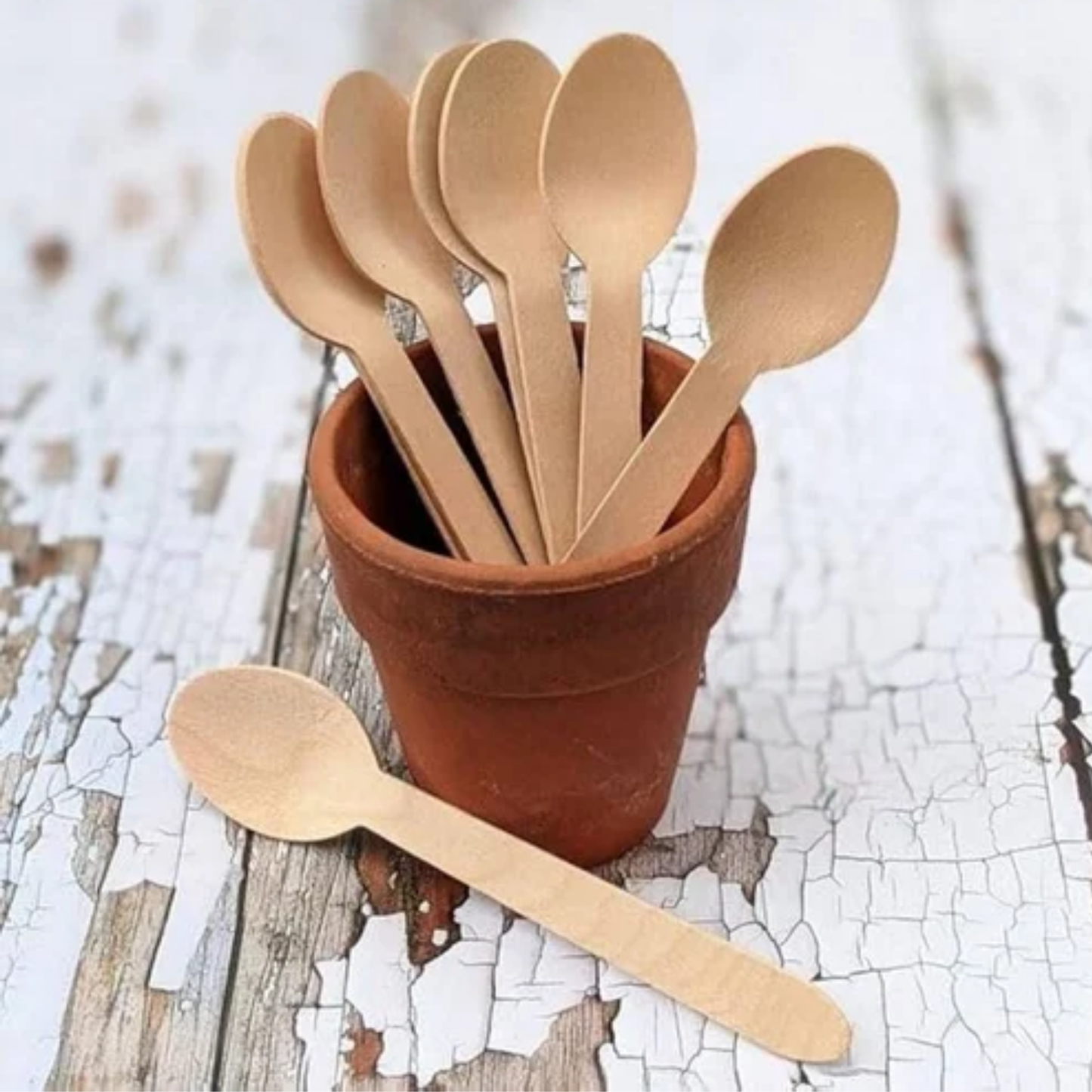 Premium Wooden Spoons | Heavy-Duty Disposable Cutlery