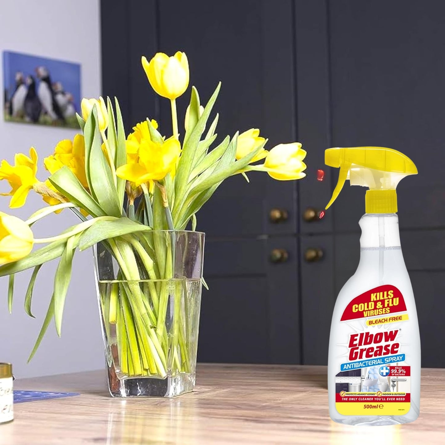 Elbow Grease Antibacterial Cleaner- 500ml