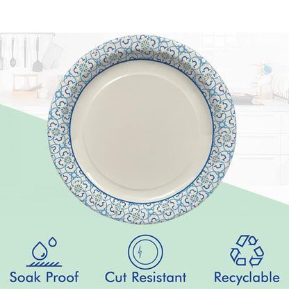 Printed Paper Plates for Hot & Cold Food- 10"