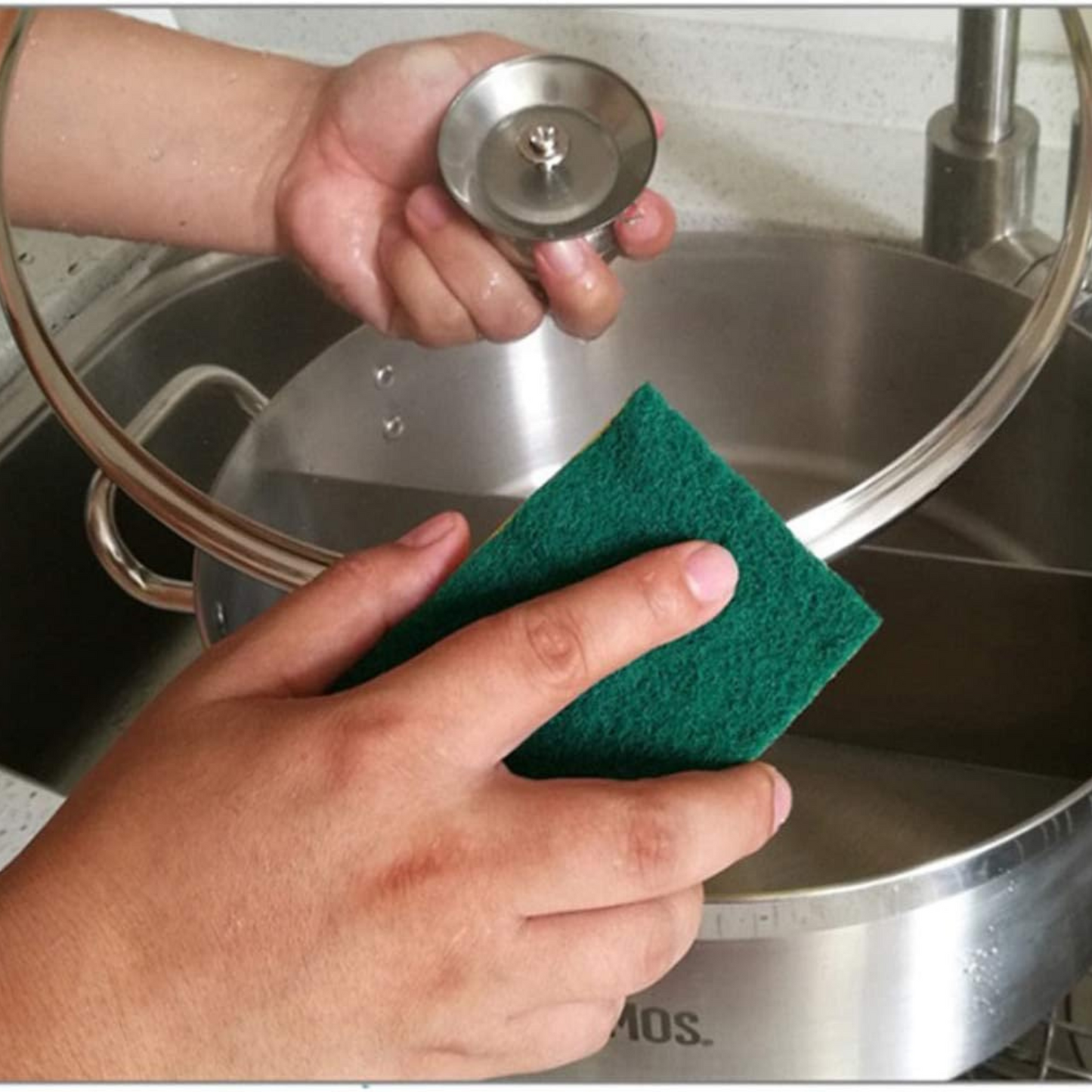Catering Sponge Pack