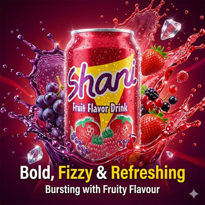 CAN Shani 24X 330ML