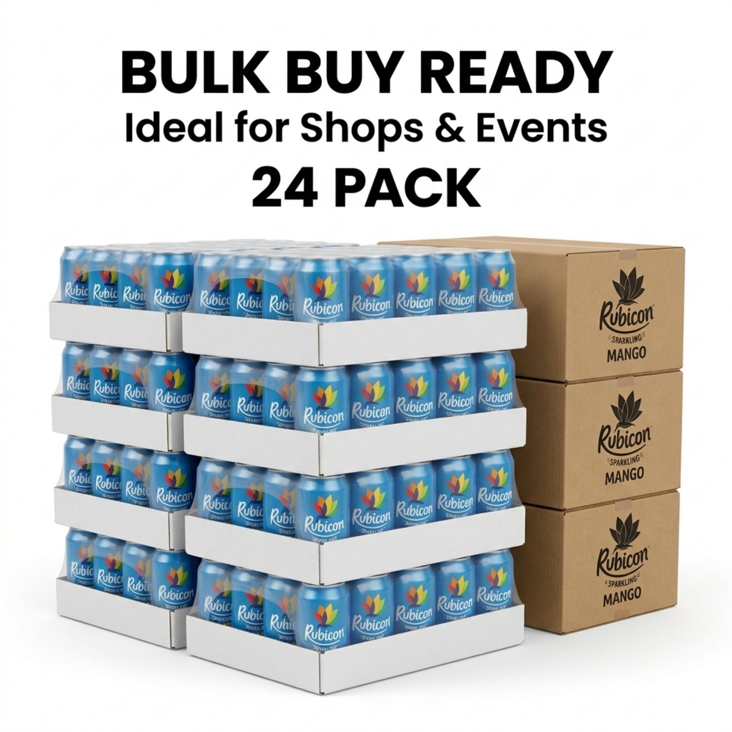 CAN Rubicon Mango Sparkling Cans 24x330ml