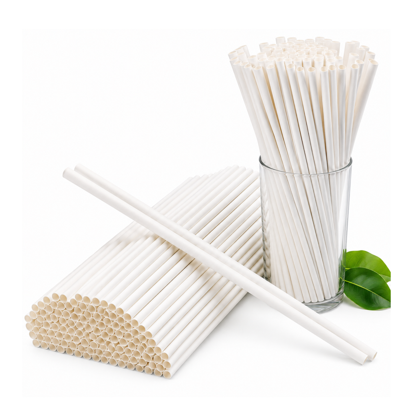 Reusable Plastic Straw