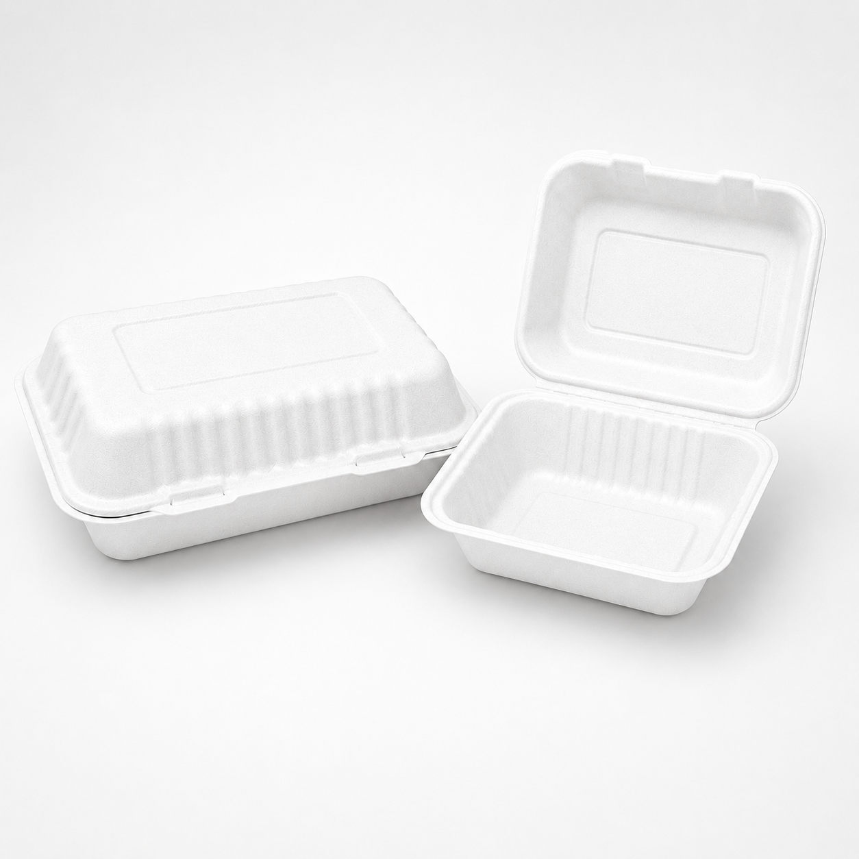 Bagasse Clamshell Box BHB10 (9x6")