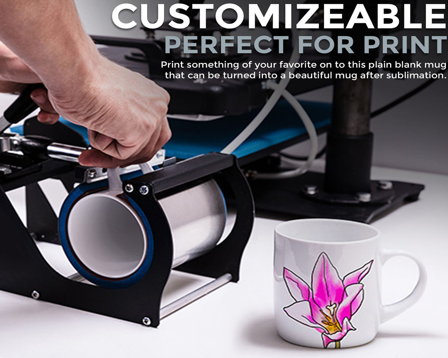 Sublimation Mugs