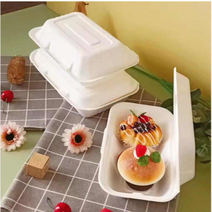 B10 Bagasse Meal Box - 10 x 10 - Image 4