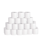 PPC Large 2‑ply Toilet Roll (1×36 pcs)